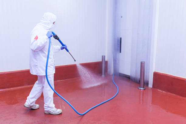 Lincoln Park, MI Pressure Washing Services Company